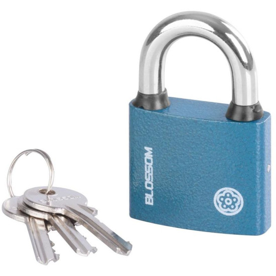 Padlock 50 mm Blossom, steel, Unique