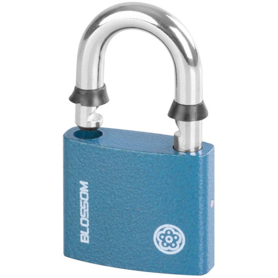Padlock 50 mm Blossom, steel, Unique