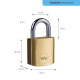 Yale lock Y110B/25/113/1, Standard Security, padlock, 25 mm, 3 keys
