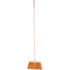 Floor broom 250 mm (BROWN) + wooden handle 1200 mm