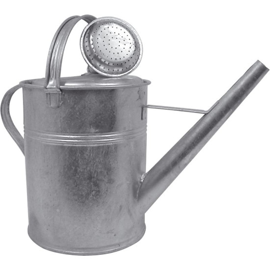 Watering cane galvanized 9 lit + watering rose