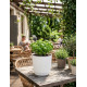 Puķu pods RATOLLA Round 250, balts Puķu pods RATOLLA Round 250, balts