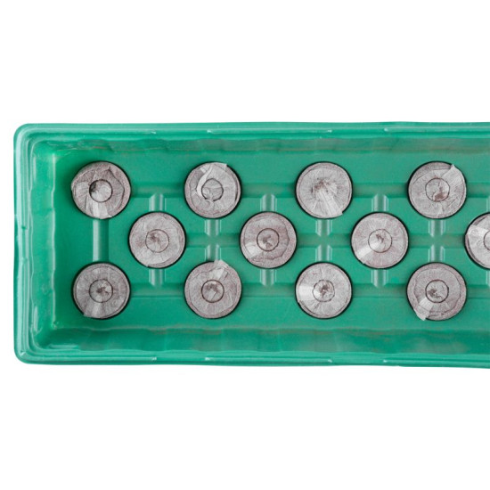 Лоток для рассады с крышкой 55x16x7 см