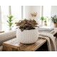 Flower pot SPLOFY Bowl 290x195 mm, white