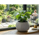 Цветочный горшок BETON Bowl, 29/19x20 см, серый