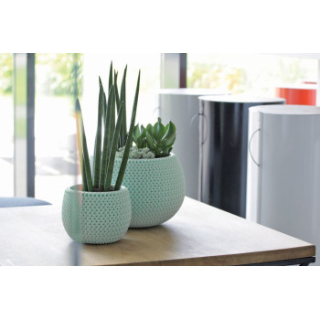 Кашпо со вставкой SPLOFY Bowl 290x195 мм, шалфей