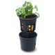 Горшок POTATO Grower 392x316 мм, для выращивания картофеля, антрацит Горшок POTATO Grower 392x316 мм, для выращивания картофеля, антрацит