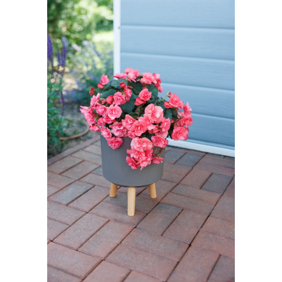 Strend Pro flower pot, color Coffee powder, 24.5x24.5x31 cm