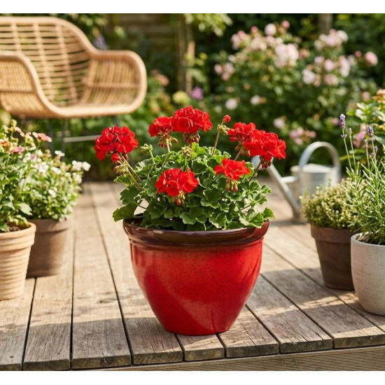 Flower pot Strend Pro, glaze, red, 38x28,5 cm
