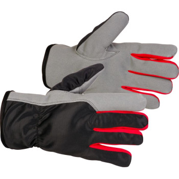 Strend Pro Bertus Winter gloves, winter, protective, insulated, textile/leather, size 09/L