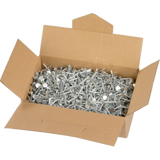 Naglas 2825, 25x3.10 mm, jumta segums, cinkots, iepakojums 2.5 kg Naglas 2825, 25x3.10 mm, jumta segums, cinkots, iepakojums 2.5 kg