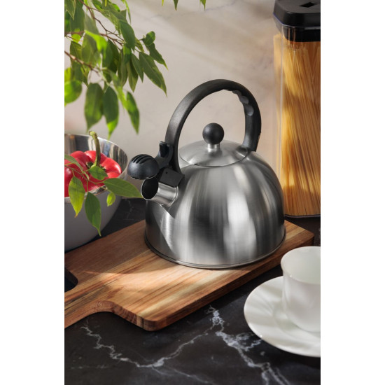 MagicHome teapot, squeaking, 2500 ml