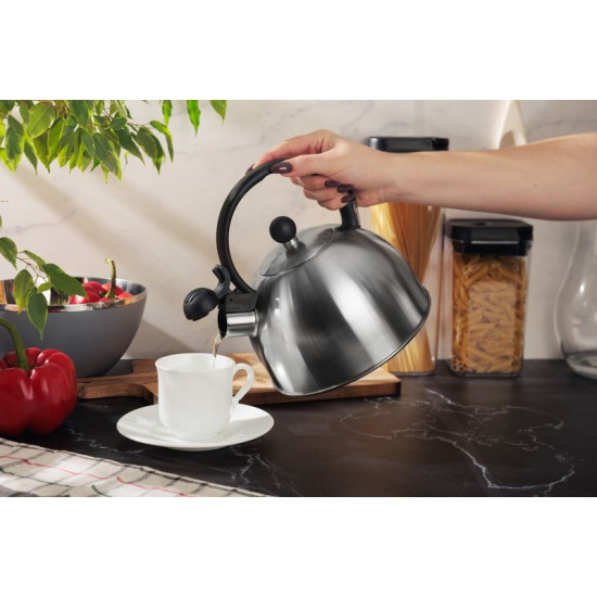 MagicHome teapot, squeaking, 2500 ml
