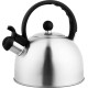 MagicHome teapot, squeaking, 2500 ml