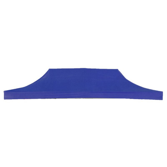 Canvas ELVIS, blue, on the roof Canvas ELVIS, blue, on the roof