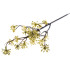 Twig MagicHome Christmas, Sedum.Gold, golden, 14x30 cm
