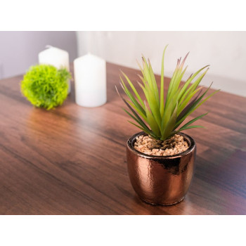 Succulent MagicHome, 19 cm, pods - cements, zelts