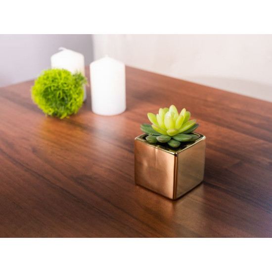 Succulent Cactus MagicHome, 10 cm, pot- ceramics, gold