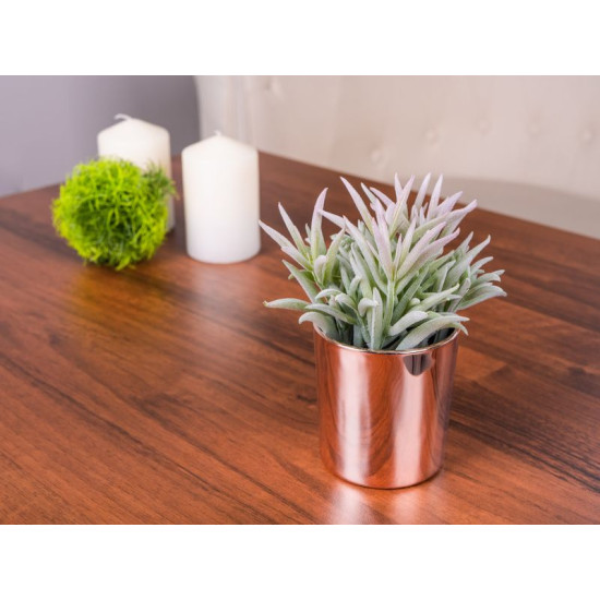 Succulent MagicHome, 16 cm, pods - keramika, zelts