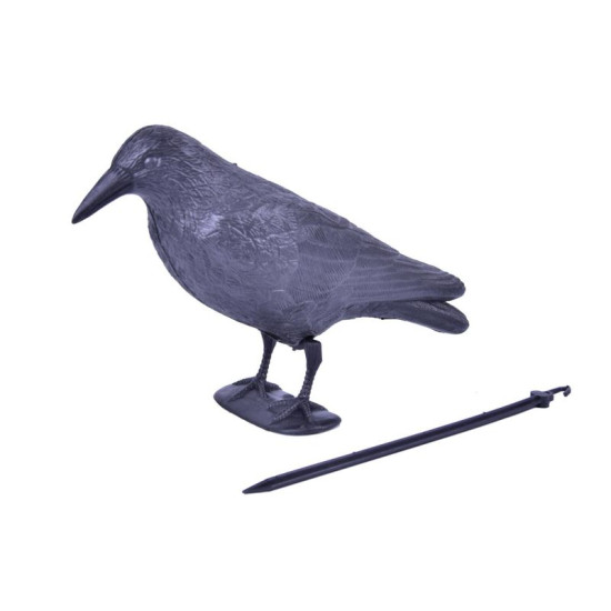 Bird scarer, Black Raven