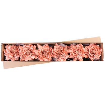 Dekorācija Zieds, peonija, ar lenti, aprikoze, kāts, bal. 6 gab Dekorācija Zieds, peonija, ar lenti, aprikoze, kāts, bal. 6 gab