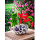 MagicHome dekorācija, Gailis ar puķu podu, zils ornaments, keramika, 34,5x24x30,5 cm MagicHome dekorācija, Gailis ar puķu podu, zils ornaments, keramika, 34,5x24x30,5 cm