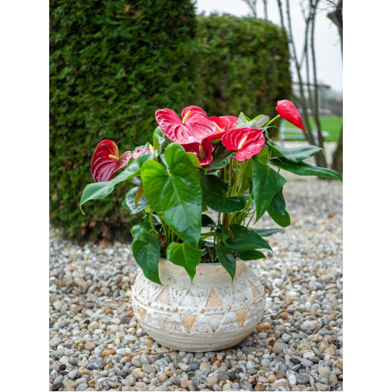 MаgiсHome deсorаtion, Цветочный горшок с мозаикой, светло-коричневый, керамика, 36x36x23 см