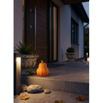 MagicHome Nature украшение, Тыква, оранжевый, терракота, 7,5x7,5x10 см MagicHome Nature украшение, Тыква, оранжевый, терракота, 7,5x7,5x10 см