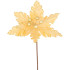 MagicHome Ziemassvētku zieds, puansetija, zeltaina, 30 cm, ziedu izmērs: 20.5 cm