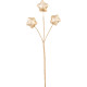 MagicHome Ziemassvētku zariņš, zvaigznes, zelts, 8.5cm MagicHome Ziemassvētku zariņš, zvaigznes, zelts, 8.5cm