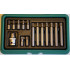 Torx set 15pcs T20-T50