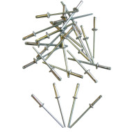 Rivets 50pcs 4.8*19.1mm