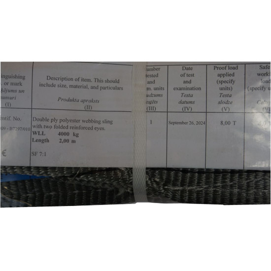 Sling WS 4T 6M  120mm